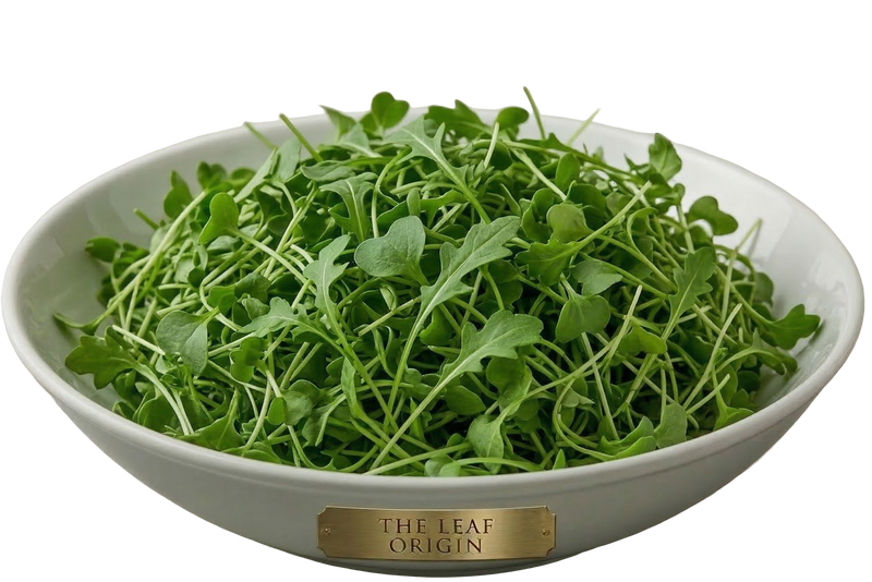 Origin Arugula Microgreens